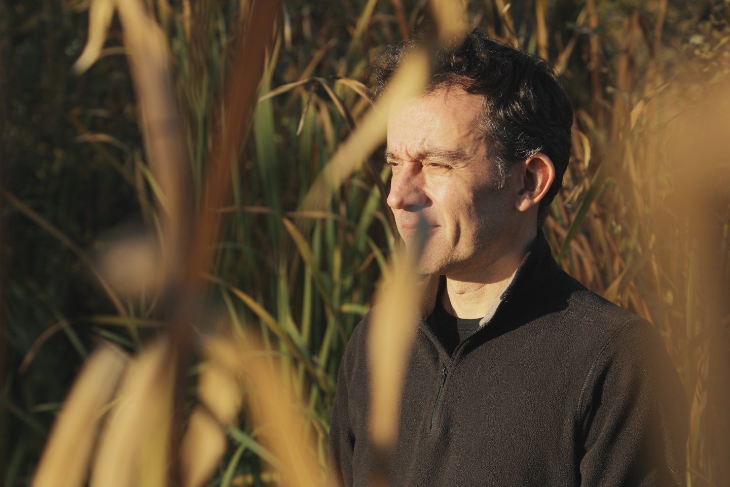 Des fourmis dans les jambes