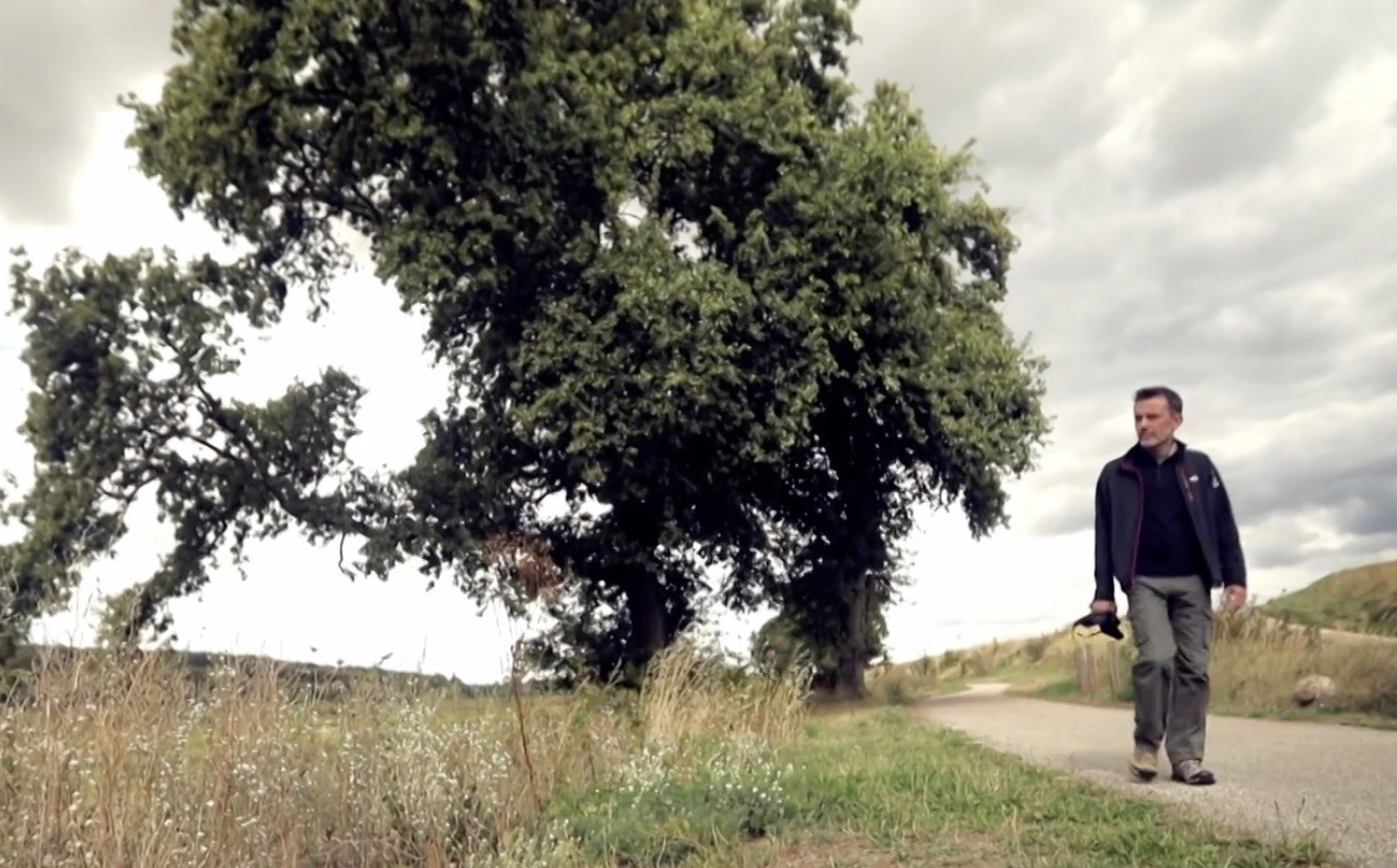 Des fourmis dans les jambes