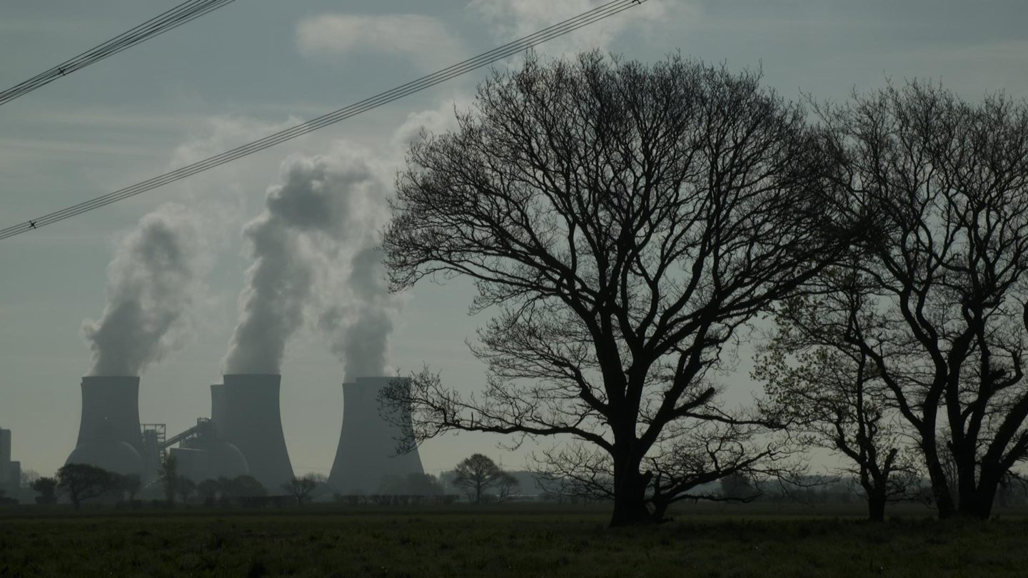 Menaces sur la forêt française