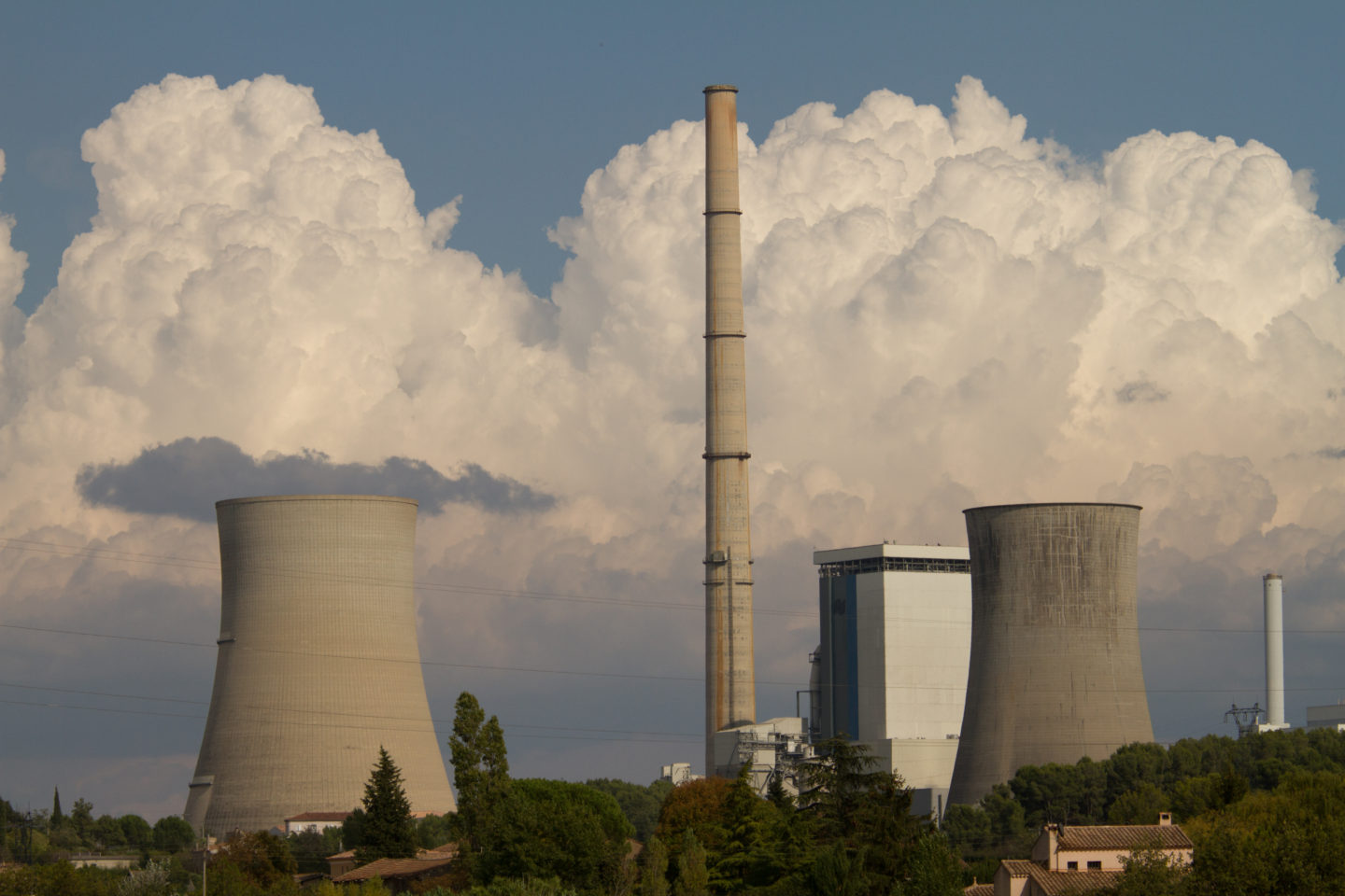 Menaces sur la forêt française
