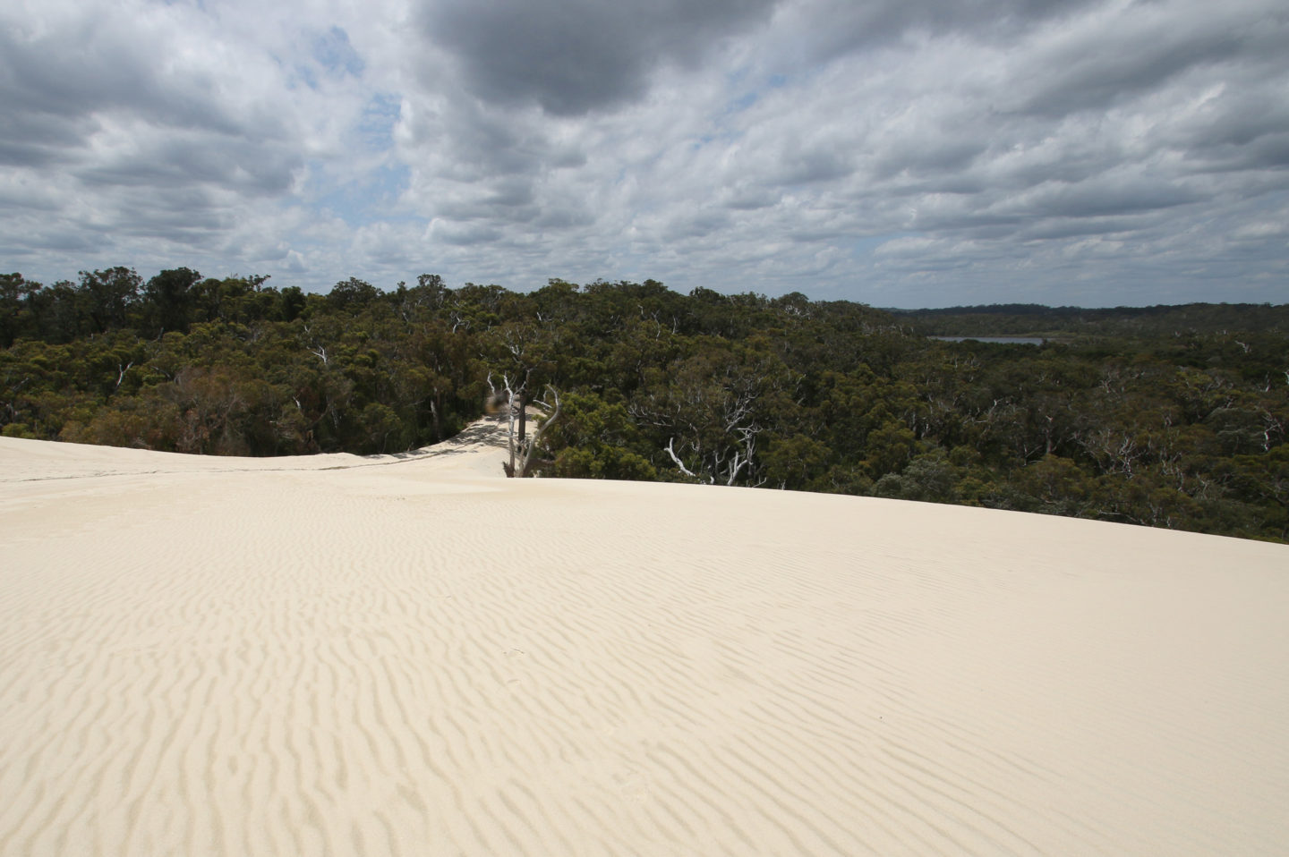 Dans les coulisses du Museum