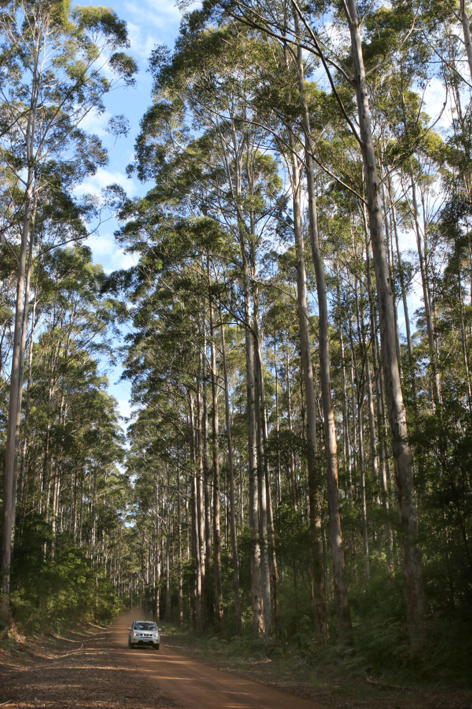 Dans les coulisses du Museum