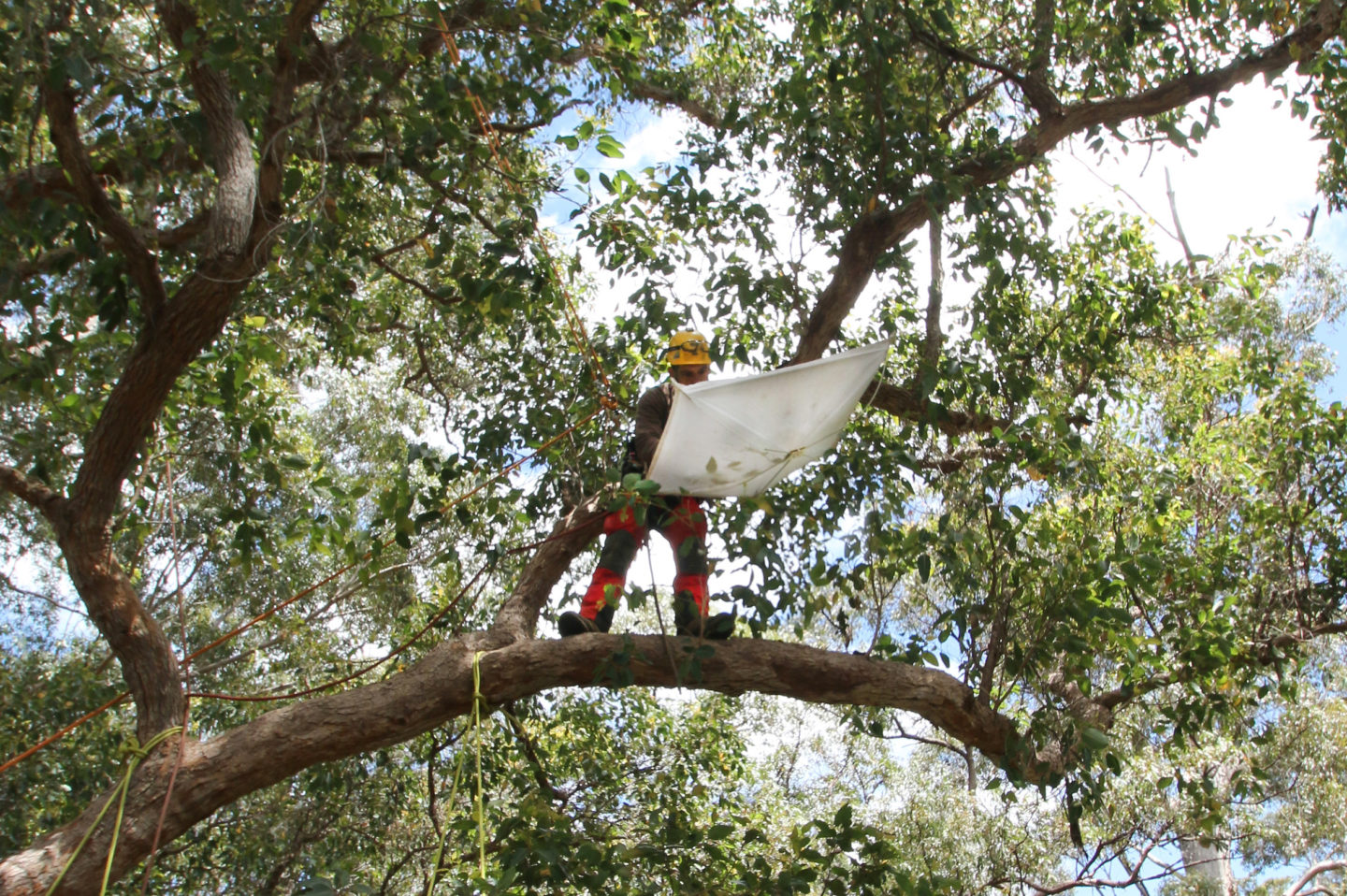 Dans les coulisses du Museum