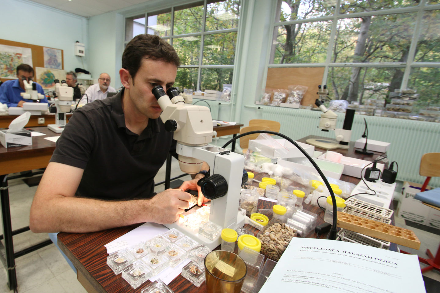 Dans les coulisses du Museum