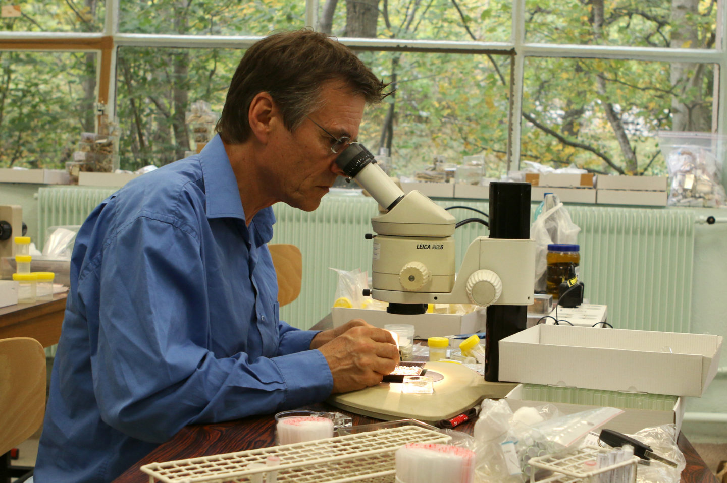 Dans les coulisses du Museum