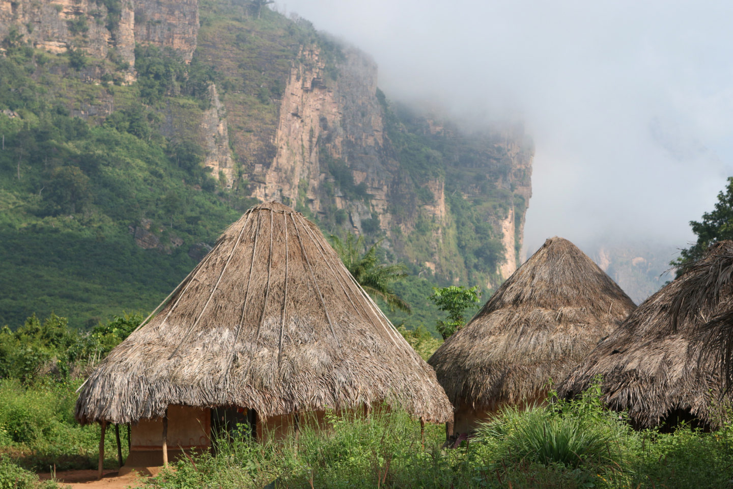 Dans les coulisses du Museum