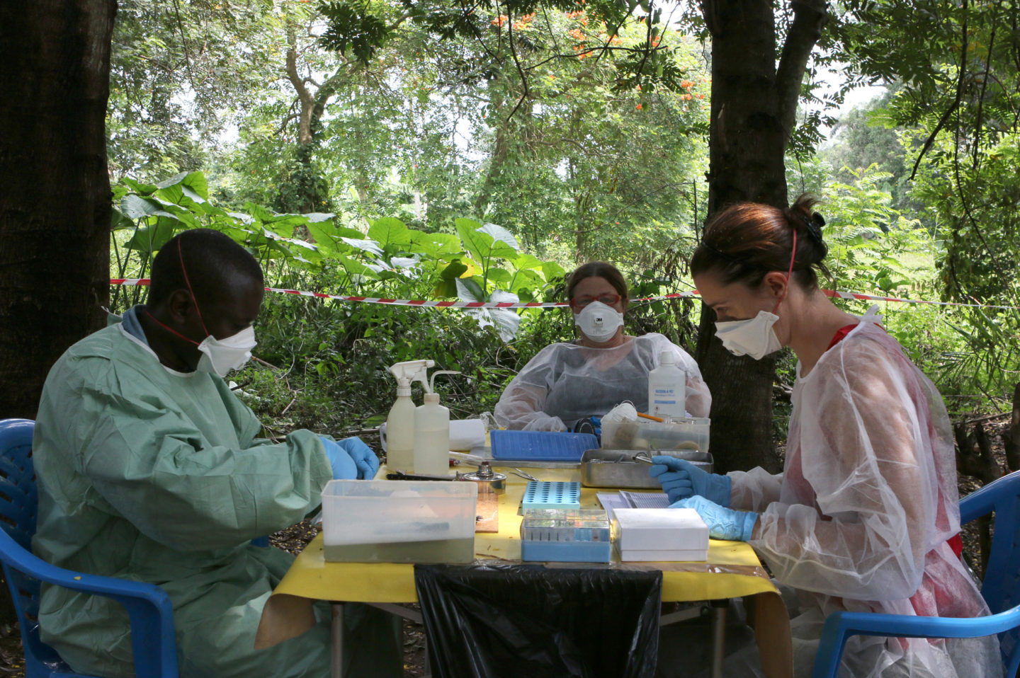 Dans les coulisses du Museum