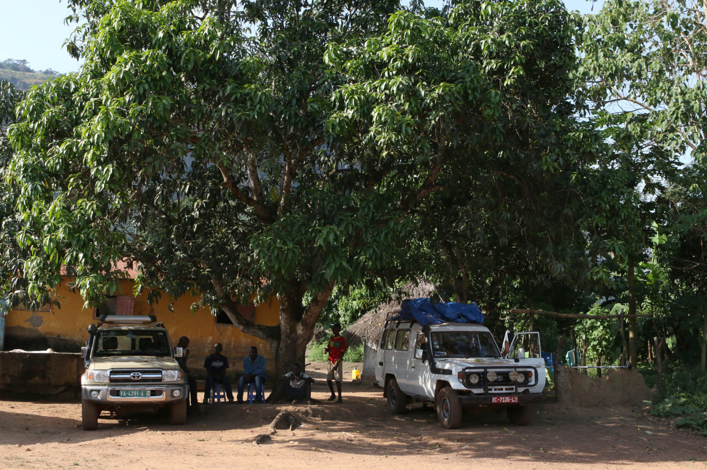 Dans les coulisses du Museum