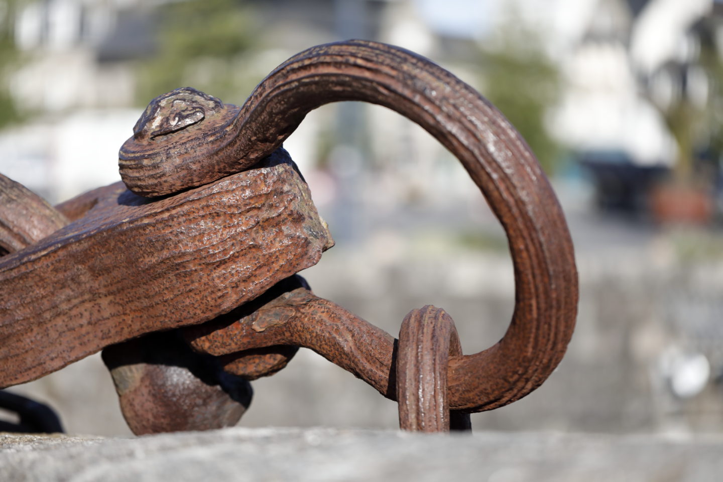 L'odyssée des forçats de la mer