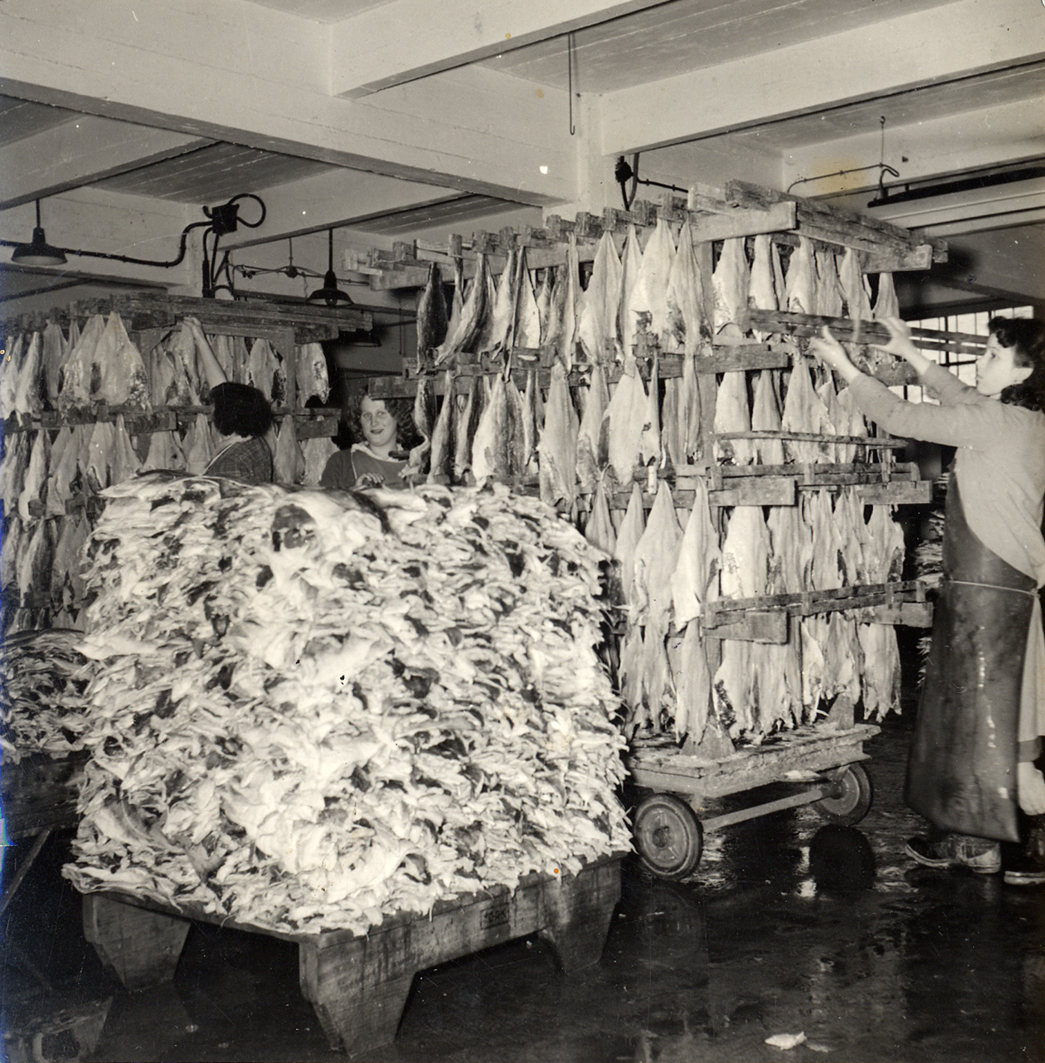 L'odyssée des forçats de la mer