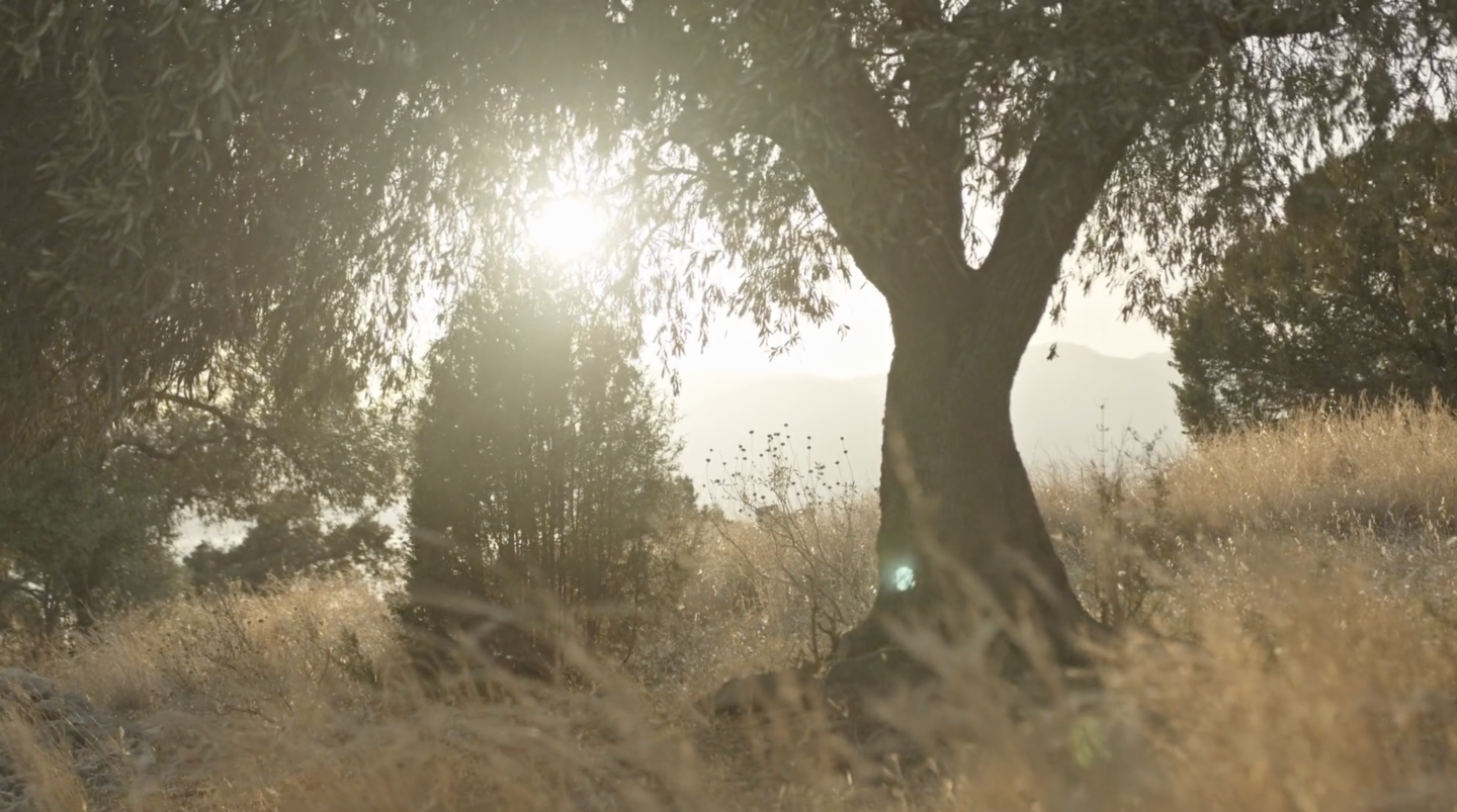 Hermès - un jardin à Cythère