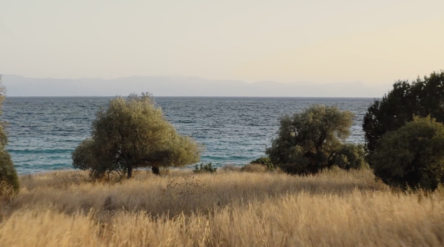 Hermès - un jardin à Cythère
