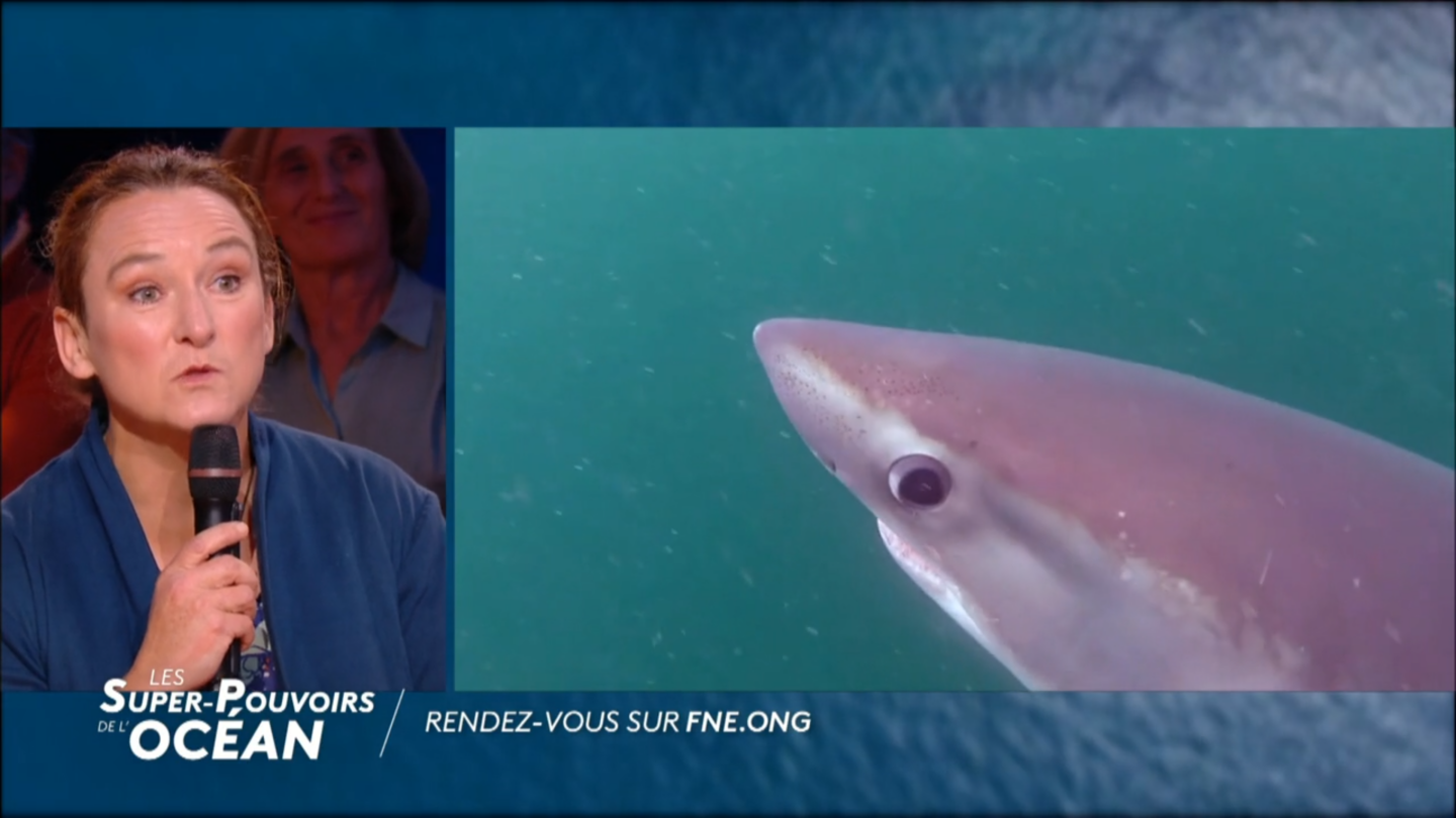 Les Super-Pouvoirs de l'Océan